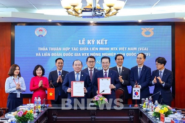 At the signing ceremony (Photo: VNA)