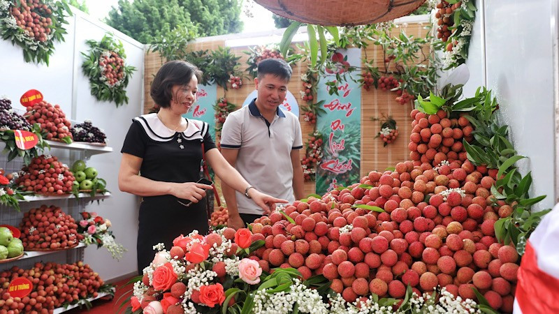 Lychees on display at the event.