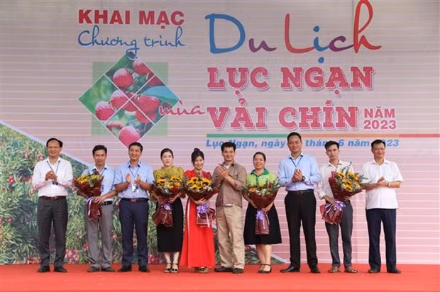 Bac Giang kick starts tourism promotion programme in lychee harvest season (Photo: VNA)