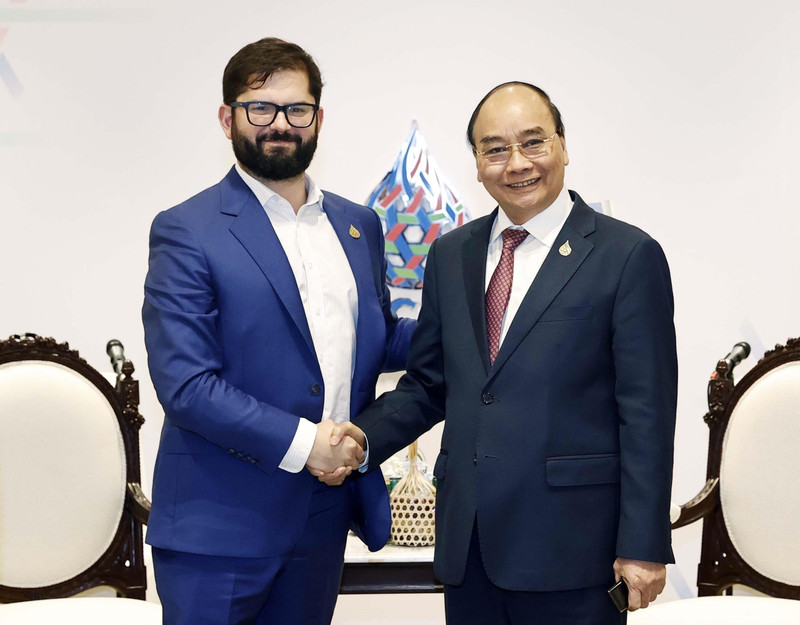 President Nguyen Xuan Phuc (R) and Chilean President Gabriel Boric Font at their bilateral meeting (Photo: VNA)