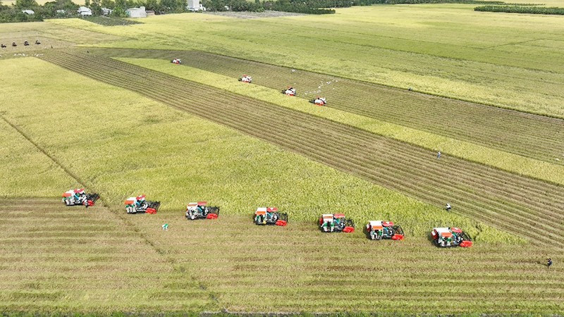 Mechanisation will help enhance the output and quality of Vietnamese rice.