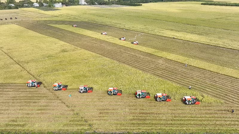 Mechanisation will help enhance the output and quality of Vietnamese rice.