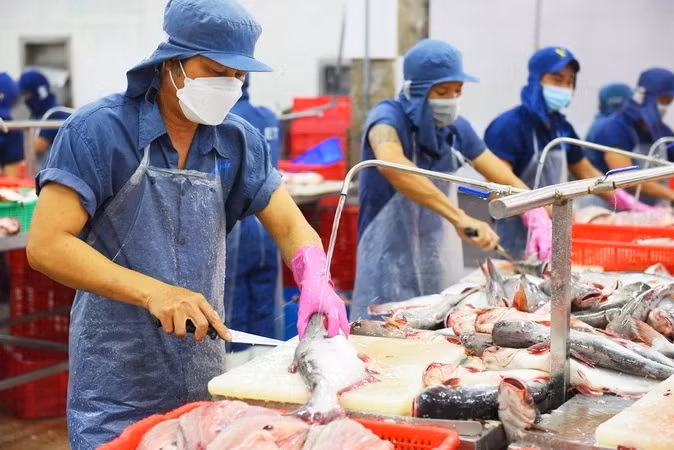 Workers process tra fish for export at a factory in Dong Thap province. (Photo: VNA) 
