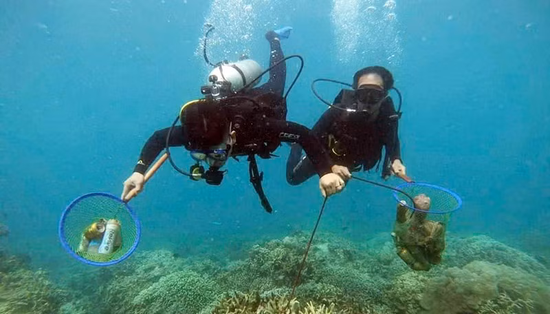 Divers collect rubbish in Hon Mun Marine Protected Area.