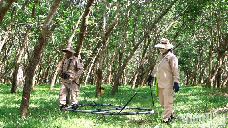 Mine clearance activity in Quang Binh.