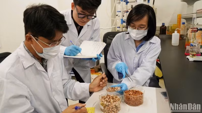 Research activity at the Vietnam-Korea Institute of Science and Technology.