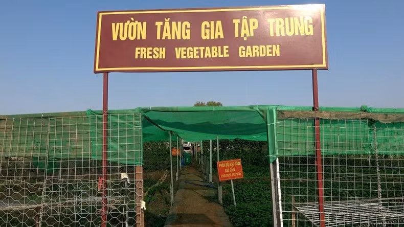 The vegetable garden of Engineering Unit Rotation 3.