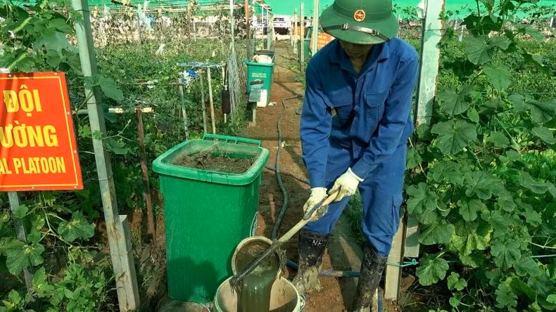 The unit’s officers and personnel improve soil quality by collecting and soaking chopped vegetation, utilising organic kitchen waste as green fertiliser to enhance fertility.