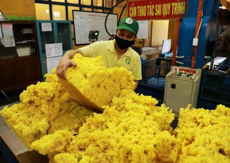 Processing rubber for export at a factory of the Phu Rieng company in Binh Phuoc province. (Photo: VNA) 