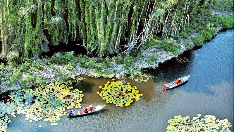 Tourists visit the paperbark forest in Dong Thap Muoi (Long An). (Photo: NGUYEN CONG TOAI)
