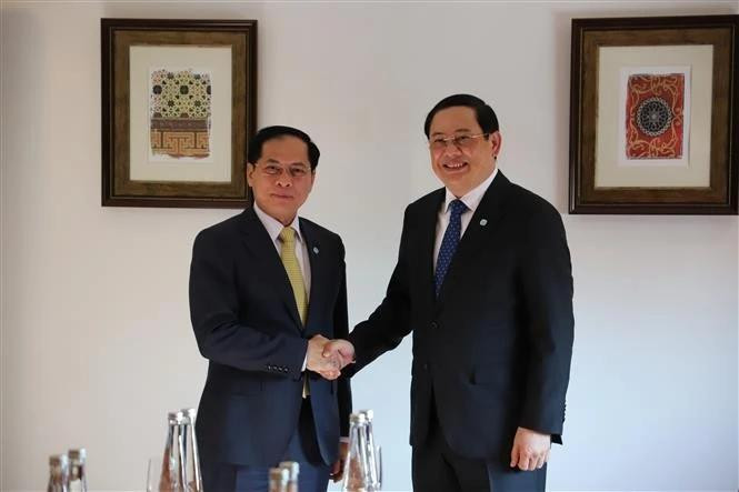 Deputy Prime Minister and Minister of Foreign Affairs Bui Thanh Son (L) and Lao PM Sonexay Siphandone. (Photo: VNA) 