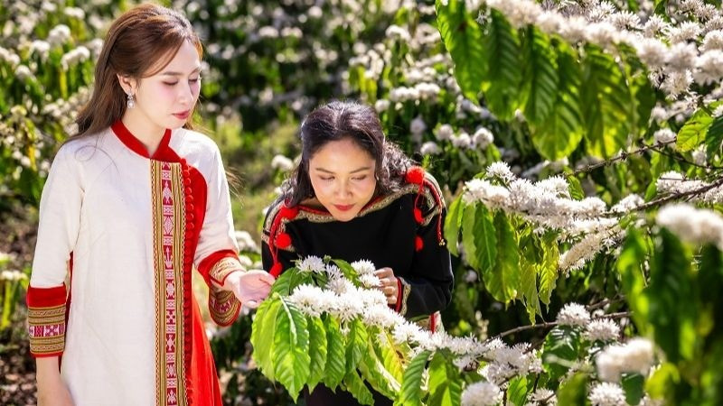 The festival is expected to help enhance the value of Vietnamese coffee.
