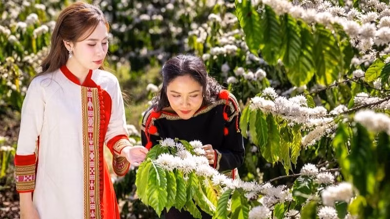 The festival is expected to help enhance the value of Vietnamese coffee.