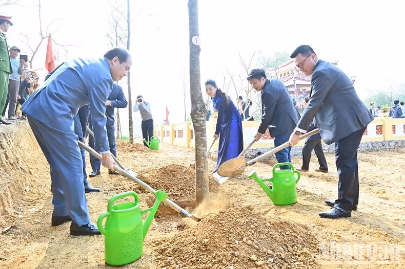 Nhan Dan and Tuyen Quang leaders plant a memorial tree at the stele pavilion site.