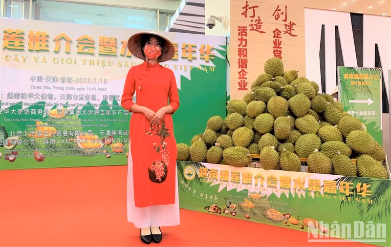 Vietnamese durian on display at the Vietnamese fruit festival in Tianjin, China. (Photo: Huu Hung) 