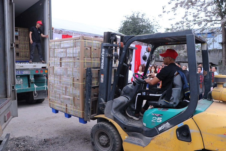 Sugarcane is loaded into a container truck for export.