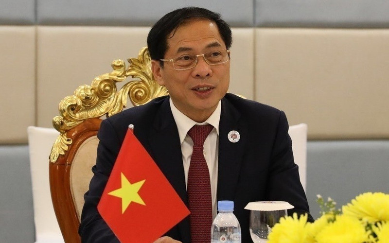 Foreign Minister Bui Thanh Son (Photo: VNA)
