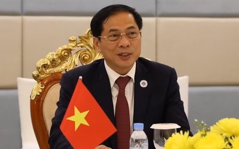 Foreign Minister Bui Thanh Son (Photo: VNA)