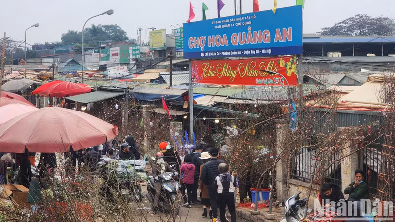 Quang Ba is regarded as the largest marketplace for fresh flowers in Hanoi and the capital city’s only night flower market.