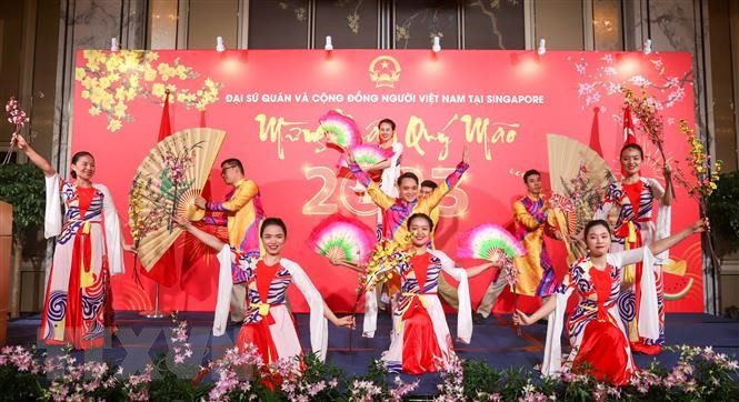 A performance at the event. (Photo: VNA)