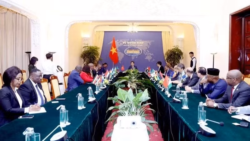 At the meeting between Deputy Minister of Foreign Affairs Do Hung Viet and ambassadors and chargé d'affaires from embassies in Hanoi and non-resident ambassadors from African countries. (Photo: baoquocte.vn)