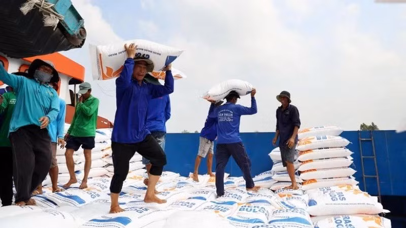 Rice is Vietnam's largest export to the Philippines. (Photo: VNA)