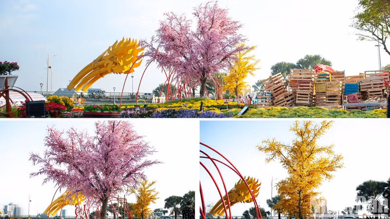 At the northern end of the Dragon Bridge tail, the space has been distinctively designed with two brilliant apricot and peach blossom trees.