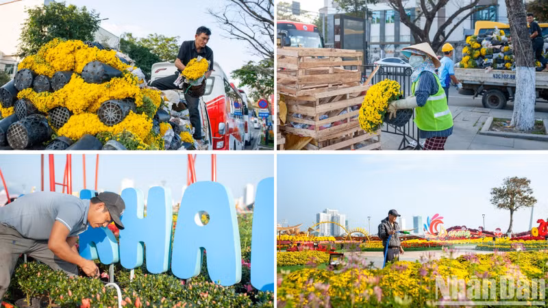 Workers constructing Bach Dang flower street are busy preparing for its opening in the coming days.