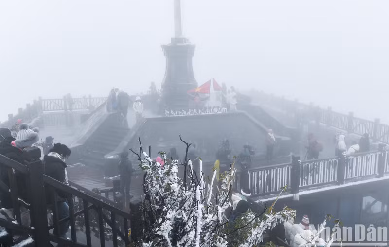 Visitors flock to Mount Fansipan to see snow.