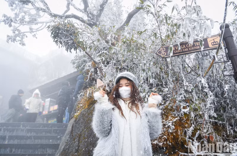 Visitors pose for photos with snow and frost.