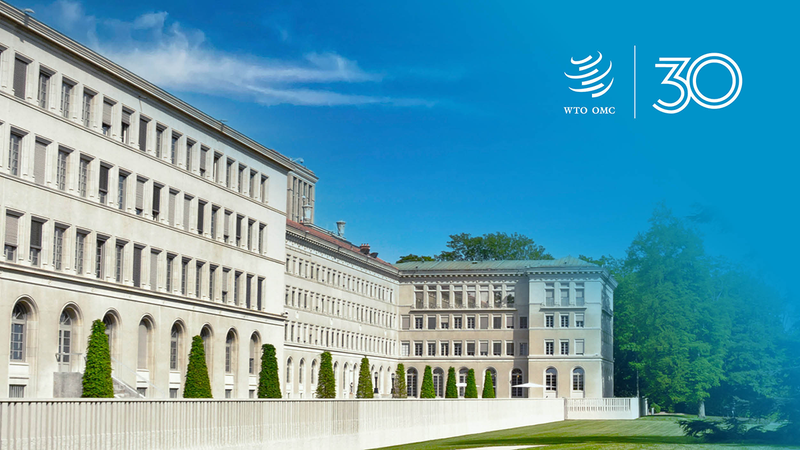 The WTO is facing the pressure for comprehensive reform after 30 years of development.