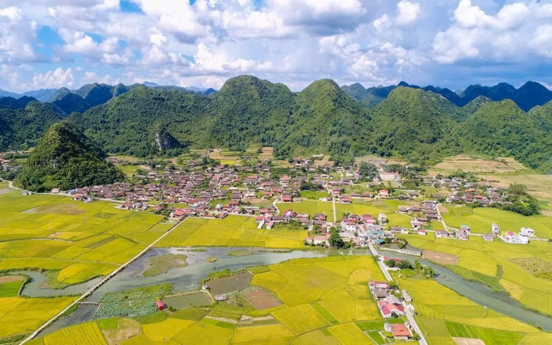 A valley of golden fields in Bac Son District, home to numerous geological heritage sites.