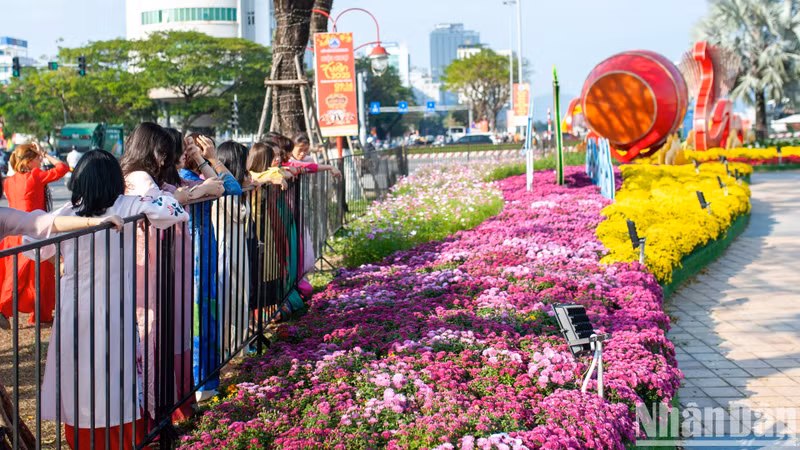 Although the flower street will not officially open until January 25, many residents and tourists have been eager to experience it.