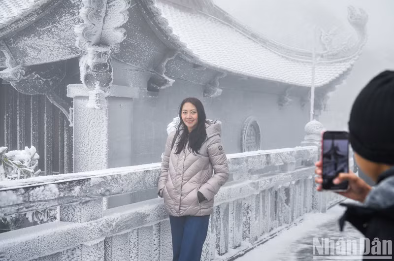 Visitors pose for photos with snow and frost.