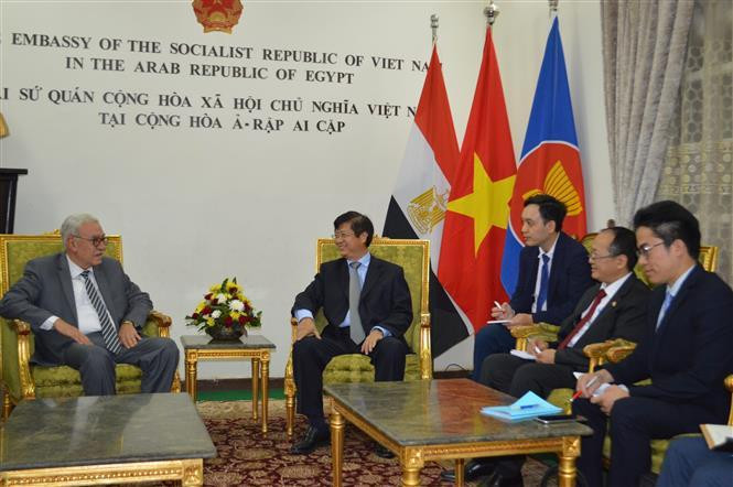 Deputy head of the Party Central Committee's Commission for External Relations Truong Quang Hoai Nam visits Egypt from September 27-29. (Photo: VNA) 
