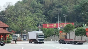 A truck completes customs clearance at the Huu Nghị international border gate in Lang Son province. (Photo: VNA) 