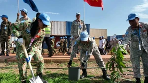 Vietnam’s Engineering Unit Rotation 3 plants trees within their compound.