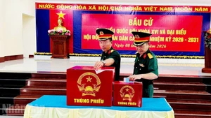 Members of the armed forces stationed in the Tho Chau Special Zone participate in the early voting.