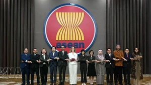 Delegates attend the 5th meeting of the ASEAN–UK Joint Cooperation Committee. (Photo: VNA)