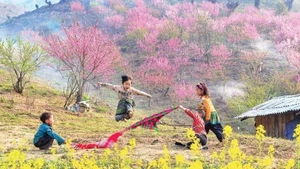 Spring hues in the highlands. (Photo: DUONG TOAN)