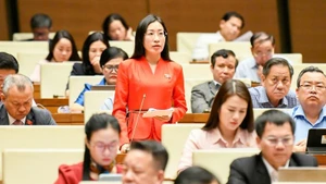 Hoang Thi Thanh Thuy, a deputy from the southern province of Tay Ninh, speaks at the event. (Photo: NDO)