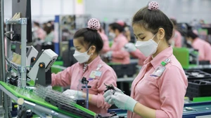 Creating momentum for strong development of private economy 