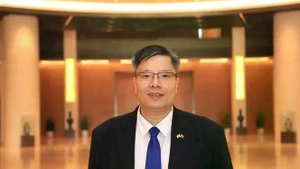 Dr Tran Hai Linh, member of the Central Committee of the Viet Nam Fatherland Front and Chairman of the Viet Nam-Korea Businessmen and Investment Association (VKBIA) (Photo: VNA)