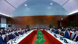 Delegates join group discussions at the ongoing 14th National Party Congress (Photo: VNA)