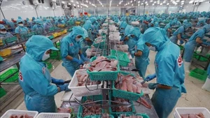 Workers process aquatic products for export. (Photo: VNA)