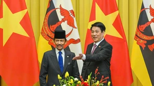 State President Luong Cuong (right) and Sultan of Brunei Haji Hassanal Bolkiah at the talks in Ha Noi on December 1 (Photo: NDO)