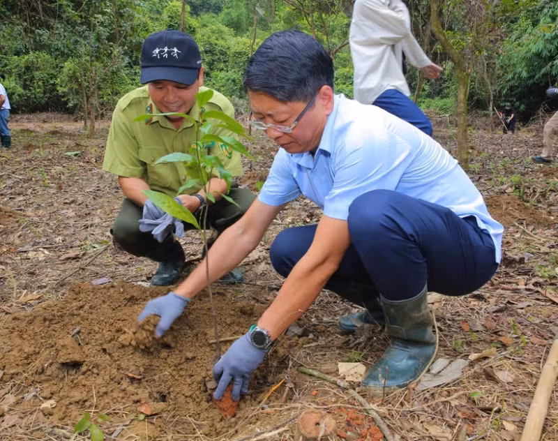 Attendees take part in planting trees at the Cuc Phuong National Park. (Photo: VNA)