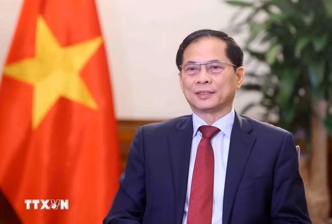 Vietnamese Deputy Prime Minister and Minister of Foreign Affairs Bui Thanh Son (Photo: VNA)