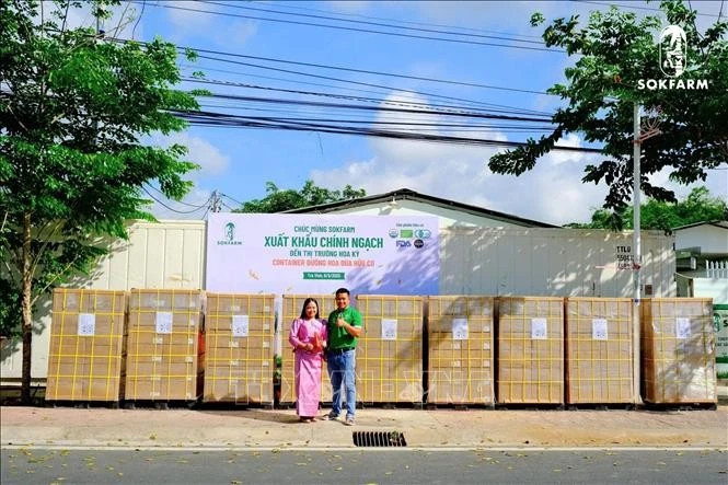 Director Thach Thi Chal Thi and CEO Pham Dinh Ngai (R) of Sokfarm stand next to the company first batch of 5-star OCOP-rated organic coconut sugar exported to the US. (Photo: VNA)