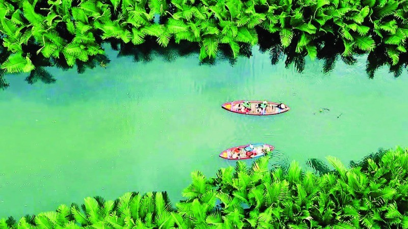 The Ca Ninh nipa palm forest is an ideal destination for tourists to visit and experience.